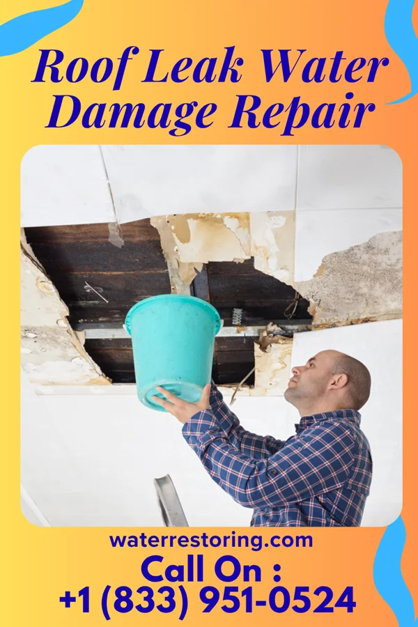 Roof Leak Water Damage Repair in New Strawn, KS